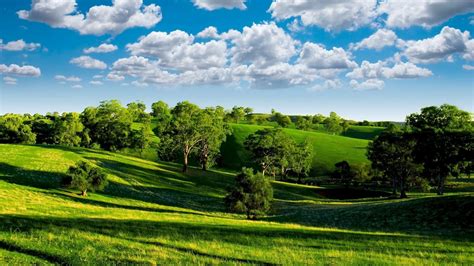 Landscape Photography Of Green Hills With Trees Under Heavy Clouds Hd