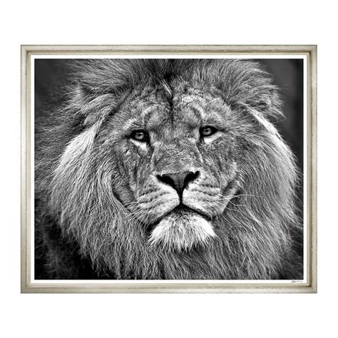 Buy Trowbridge Gallery Jumbo The King Framed Print X Cm AMARA Black And White Lion
