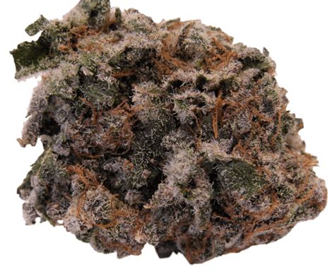 Blackberry Kush Strain Review The Lodge Cannabis Denver