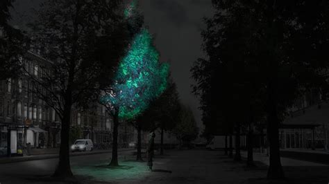 Glow In The Dark Trees Could Replace Street Lights Says Daan