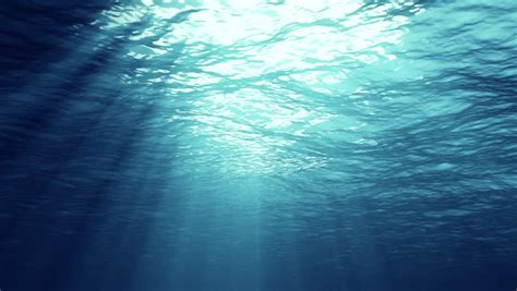 Underwater Ocean Stock Video Footage 4k And Hd Video Clips Shutterstock