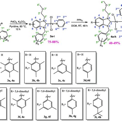 Antimicrobial Profile Of Synthesized Derivative Pd Ii N Heterocyclic