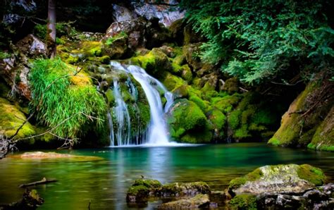 Magical Forest Waterfall Wallpapers