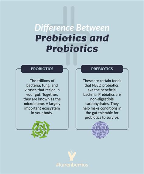 What Are The Differences Between Probiotics And Prebiotics Karen