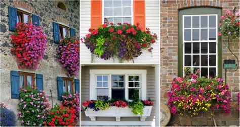 In the back are yellow calla lilies while fluffy yellow and white hydrangeas inhabit most of the box. Window Flower Box Ideas That Will Inspire You To Make Your Own