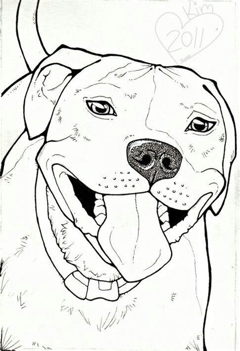 Pin by Lisa Radillo-Evans on pit bulls | Pitbull drawing, Drawings, Dog