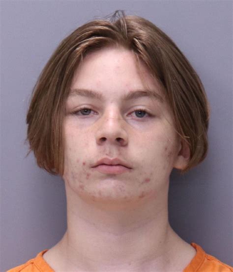 Aiden fucci to be rearrested. Cheerleader Tristyn Bailey's 'horrifically stabbed' body ...