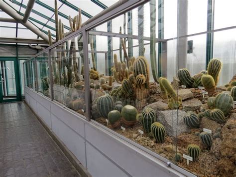 Skleníkový areál ve tvaru krystalové drúzy mající připomínat zvětšené buňky, vyprojektované ing. Frýdlantský zámek, Botanická zahrada Liberec - M+M Svatošovi