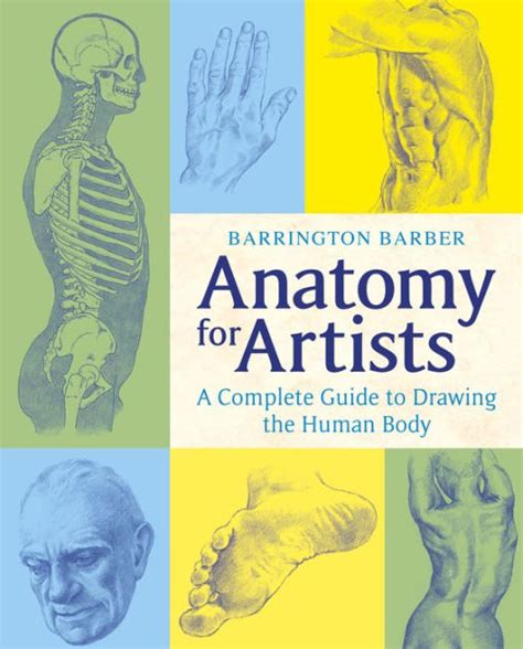 Anatomy For Artists By Barrington Barber Paperback Barnes And Noble®