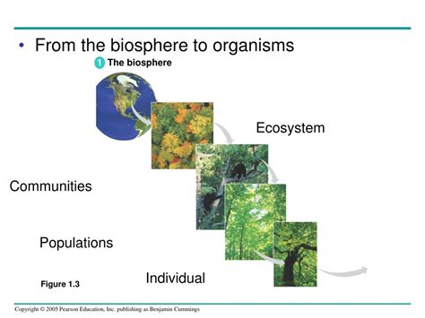 Ppt General Biology Powerpoint Presentation Free Download Id209887