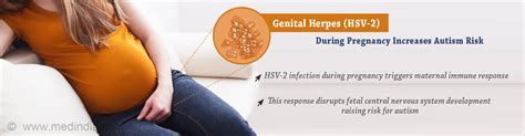 Herpes During Pregnancy First Trimester Pregnancywalls