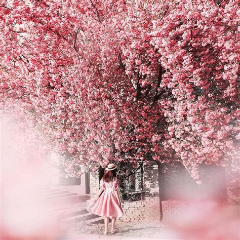 Jovana Rikalo 📸 On Instagram Oh Spring 🌸 You Must Love That Season