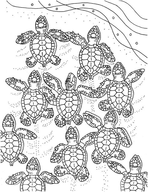 Mommy And Baby Sea Turtle Pages Coloring Pages
