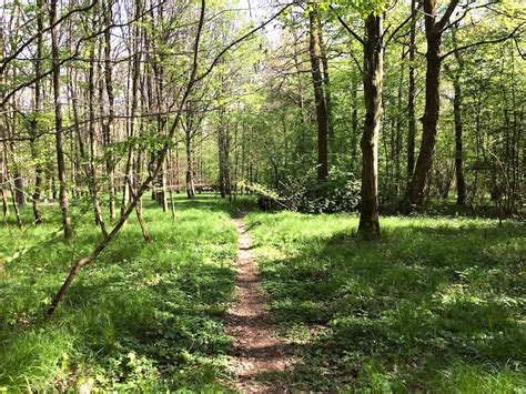 Der oberwald in karlsruhe seen und gewässer im oberwald freizeitaktivitäten im oberwald karlsruhe. Kleines Juwel in Karlsruhe: der Oberwald mit Tierpark und ...
