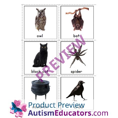 Below you can see the list of source codes you will receive: Halloween Vocabulary Photo Flash Cards