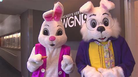 Easter Bunnies Visit Wgn Youtube