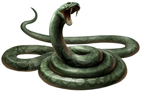 Snake | Harry Potter Wiki | FANDOM powered by Wikia