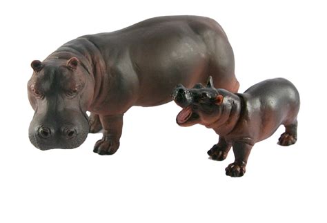 Hippo Png Image Png All Png All