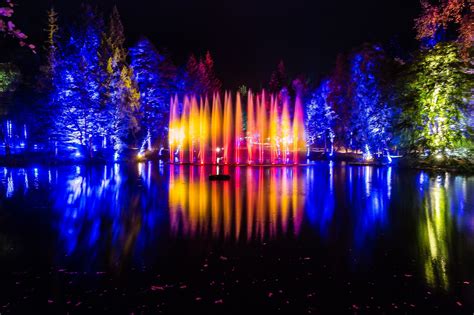 Enchanted Forest Set To Give Perthshire Autumn Economy Boost