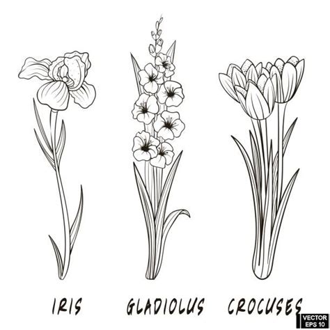 There are 829 gladiolus flower art for sale on etsy, and they cost 15,81 $ on average. Gladiolus drawing - Google-Suche | Iris flower tattoo ...