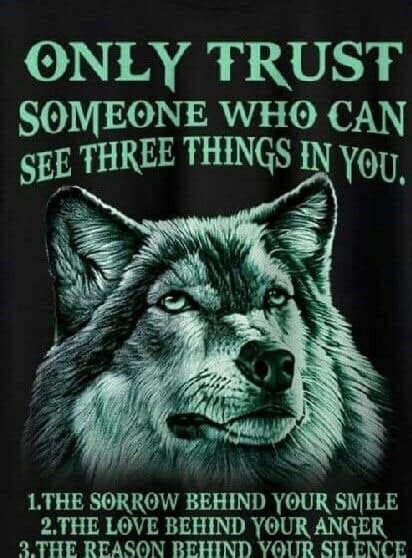 Pin By Horsedizzy On Wolf Warrior Quotes Wolf Quotes Lone Wolf Quotes