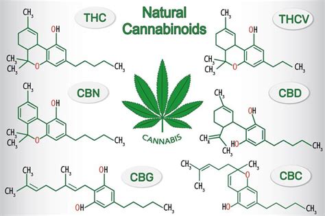 List Of Common Cannabinoids M A N O X B L O G
