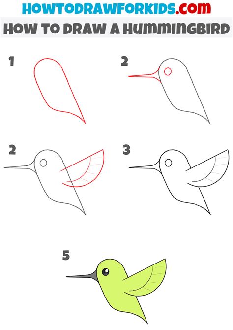 How To Draw A Hummingbird And Flower Step By Step Best Flower Site