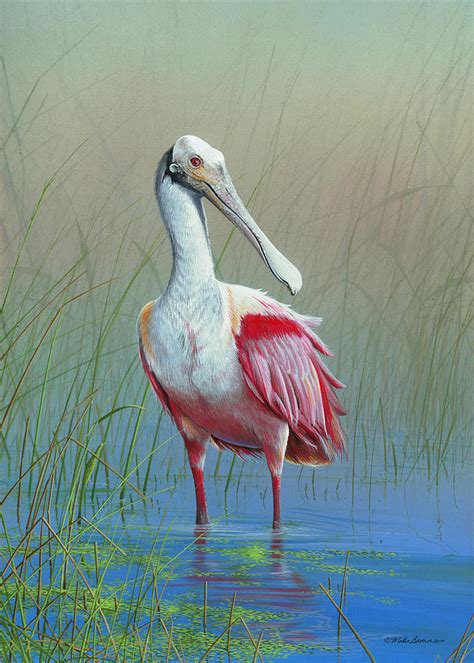 Roseate Spoonbill Painting By Mike Brown