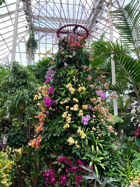 The Orchid Show Singapore At The New York Botanical Garden Gildshire