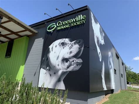 Greenville Humane Society 27 Photos And 41 Reviews 305 Airport Rd