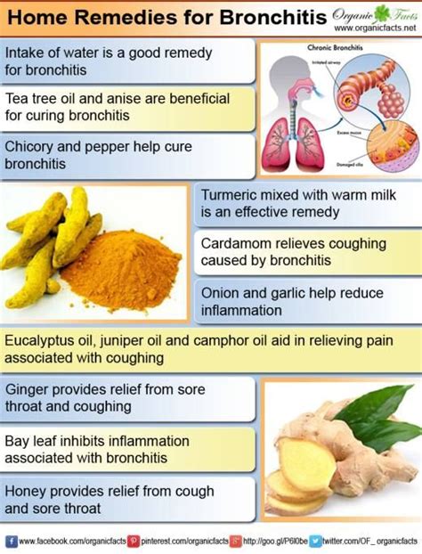 Home Remedies For Bronchitis Organic Facts Home Remedies For