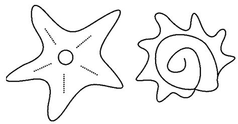Muschel ausmalbilder malvorlagen 99 frisch seestern zum ausmalen stock kinder bilder. Muschel Und Seestern Ausmalbild & Malvorlage (Tiere)