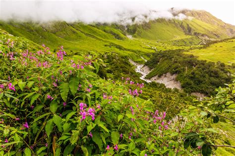 Valley Of Flowers Uttarakhand Valley Of Flowers Beautiful Places To