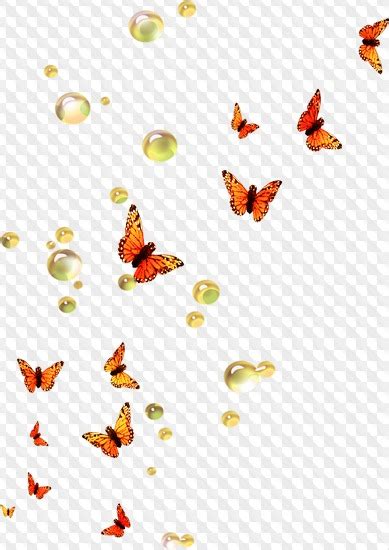 Spring Summer Overlay Natural Flying Colorful Butterflies Clip Art