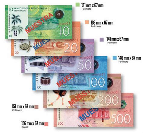 The Most Beautiful Looking Plastic Banknotes In The World 15 Pics