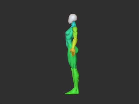 Female Base Mesh 3d Model 3d Printable Cgtrader