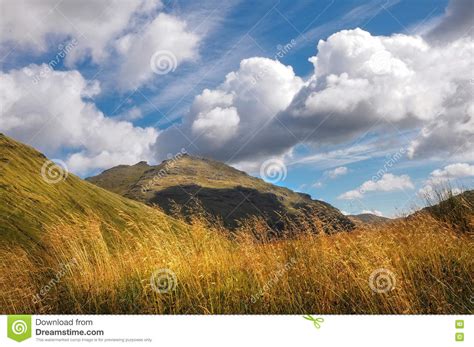 Scottish Highlands In Beautiful Sunny Day Stock Photo Image Of Light