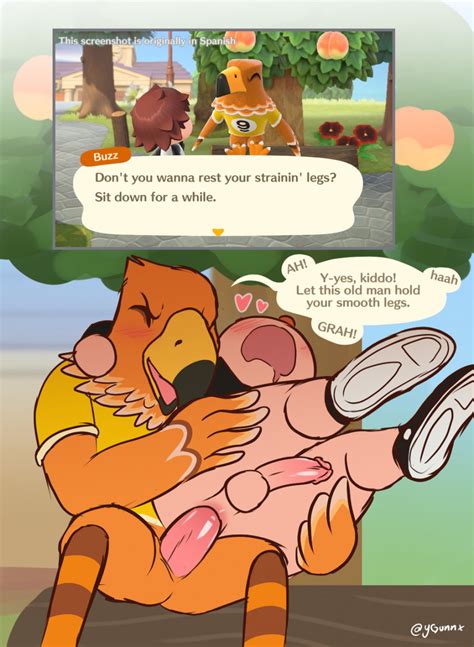 Rule 34 Accipitrid Accipitriform Anal Anal Sex Animal Crossing Anthro