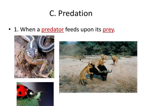 Ppt 8 2 How Species Interact With Each Other Powerpoint Presentation