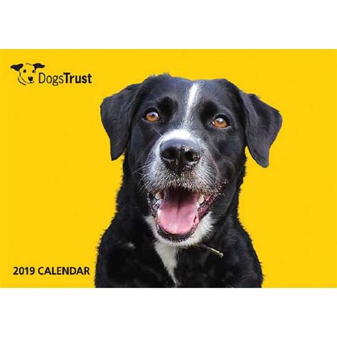 Dogs Trust Charity Ts Donate Today Dogs Trust