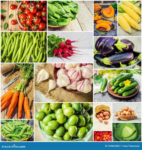Collage Of Different Vegetables Vegetarian Food Stock Image Image Of