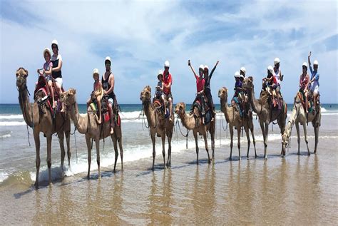 Affichage des résultats pour « anna bay nsw ». Top Things to do in Port Stephens 2020 - Book Online ...