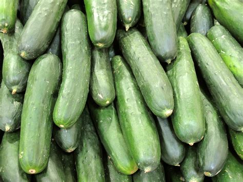Cucumber, FREE Stock Photo, Image, Picture: Cucumbers, Royalty-Free ...
