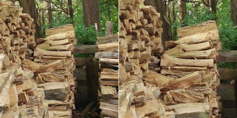 Can You Find The Cat In The Wood Pile Viral Puzzles