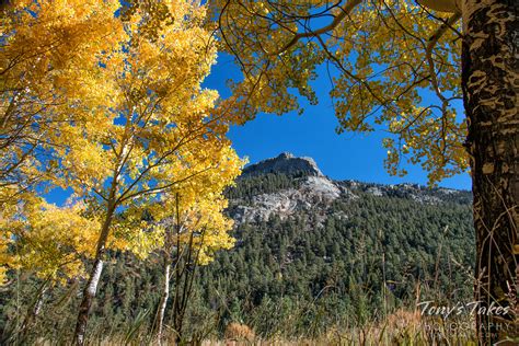Fall Colors 2017 Picks For The Top Colorado Front Range