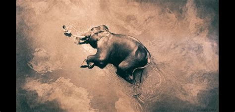 Gregory Colbert The Creator Of Ashes And Snow Artpeoplenet