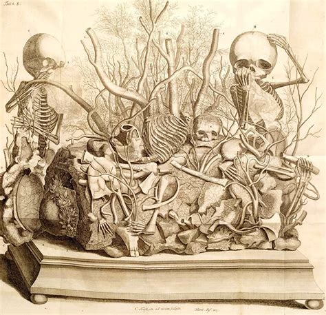 He is known for developing techniques for preserving anatomical specimens, which he used to create. Frederik Ruysch: The Artist of Death - The Public Domain Review