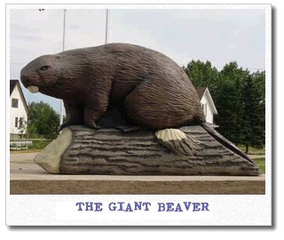 The Giant Beaver At Beaverlodge Alberta Tripandom The Random Travel Blog