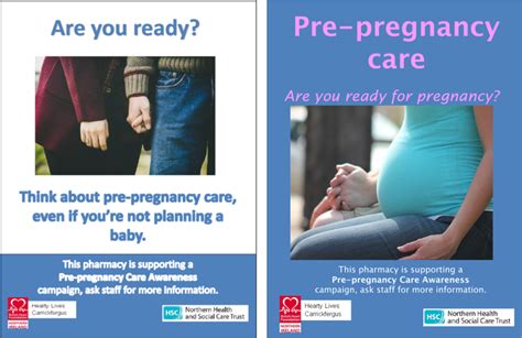 Posters Advertising The Pre Pregnancy Awareness Campaign Download Scientific Diagram