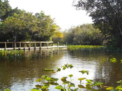 The 15 Best Things To Do In Everglades National Park 2020 With